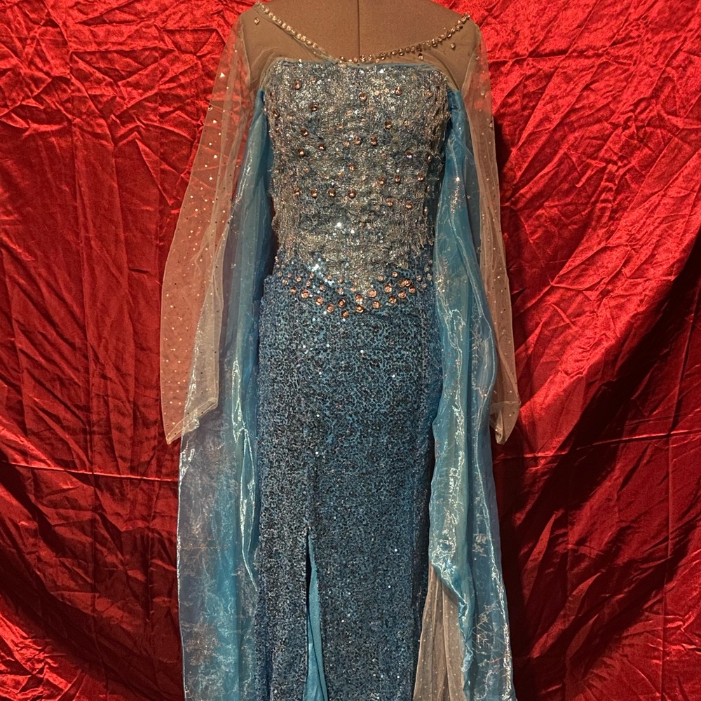 Elsa costume